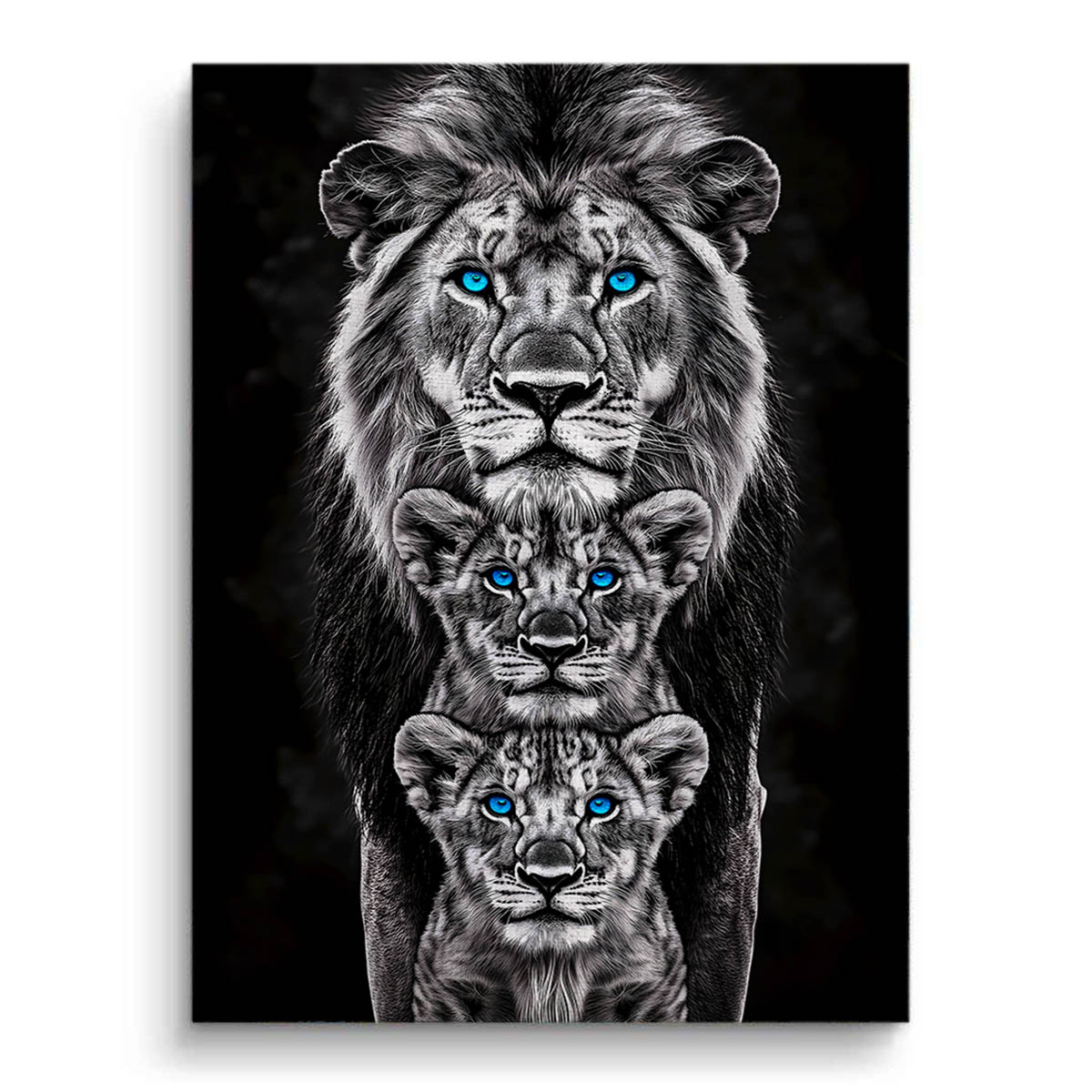 Lions Trio Canvas Art