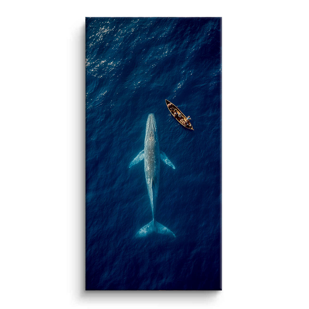 Whale Watching Canvas Art