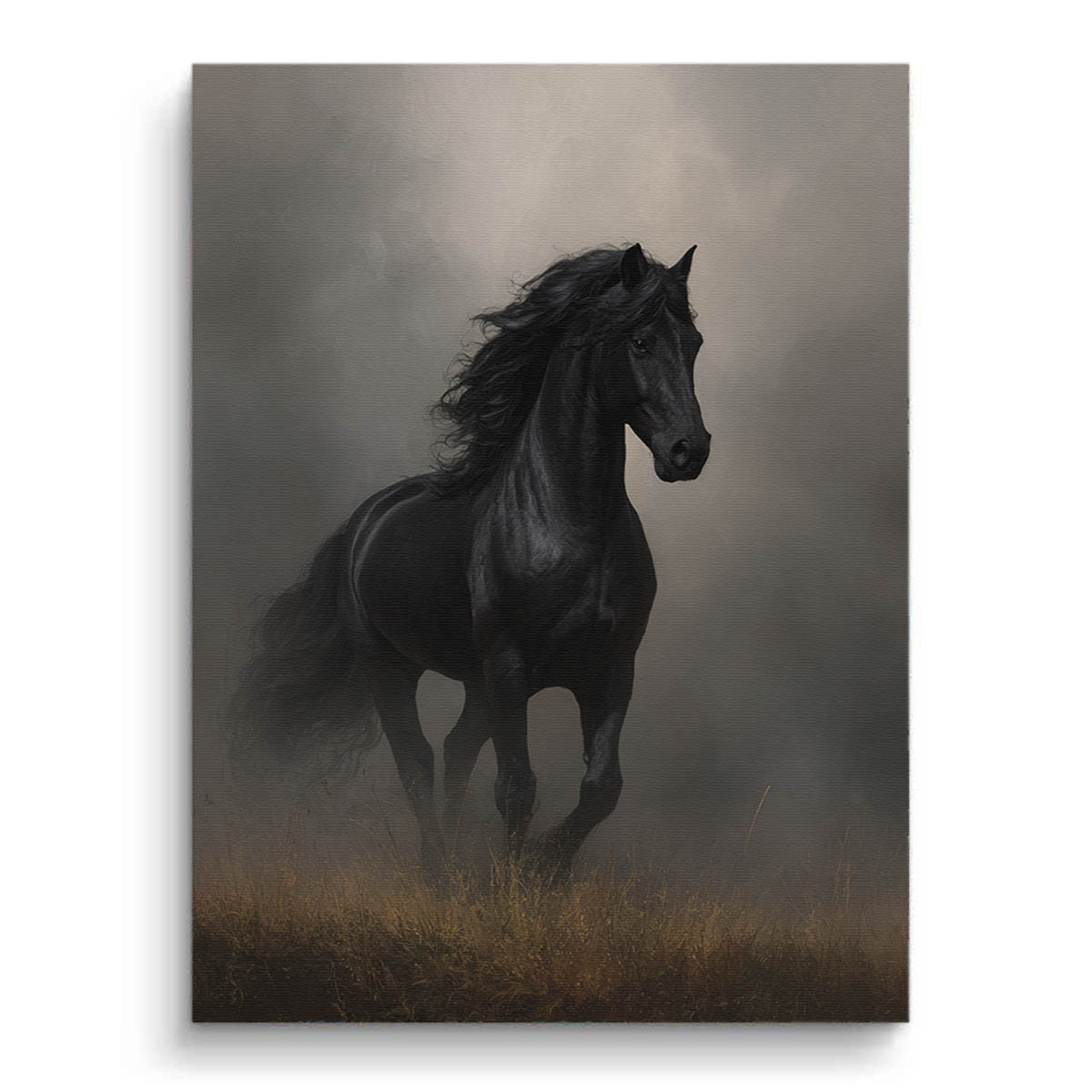 Black Stallion Canvas Art